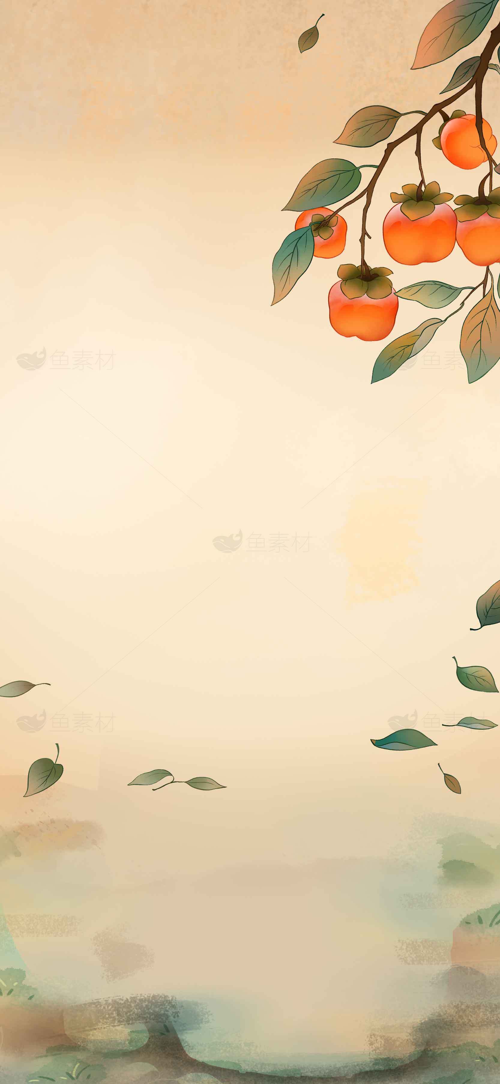 秋日柿子树叶背景插画图片素材