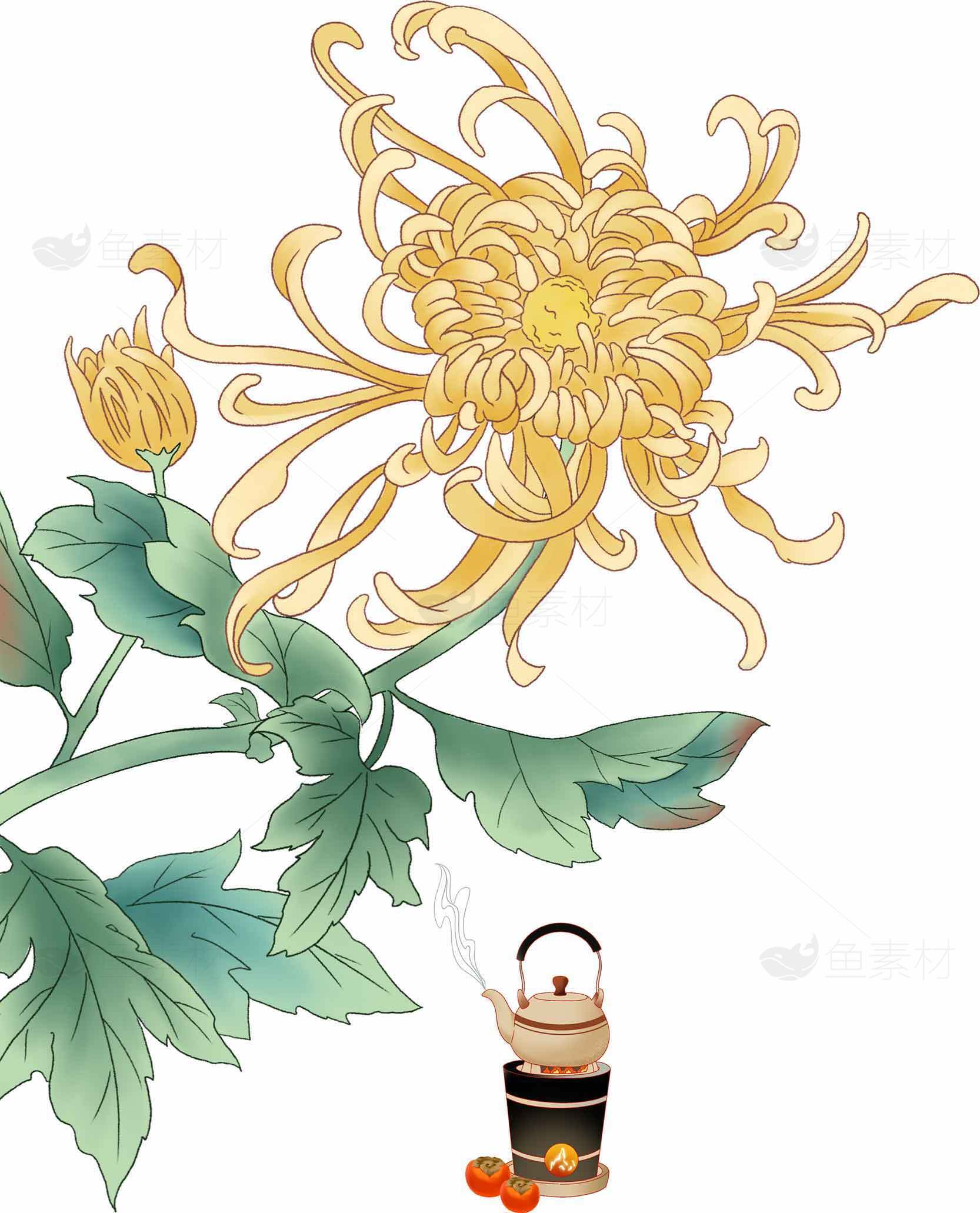 秋日菊花与茶壶插画设计素材