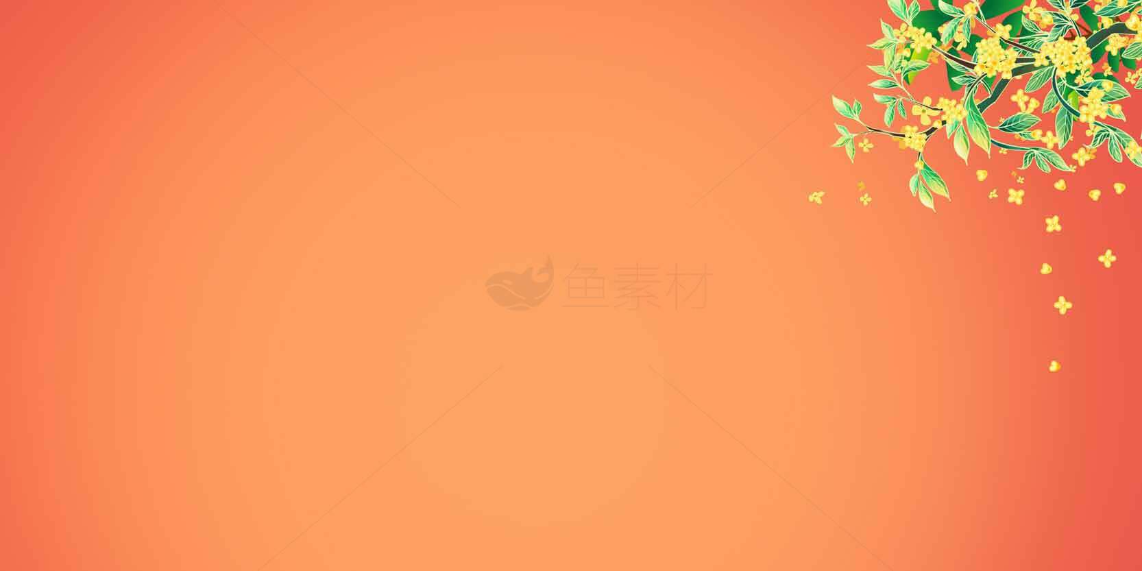 橙色背景与绿色植物装饰的清新设计图片素材