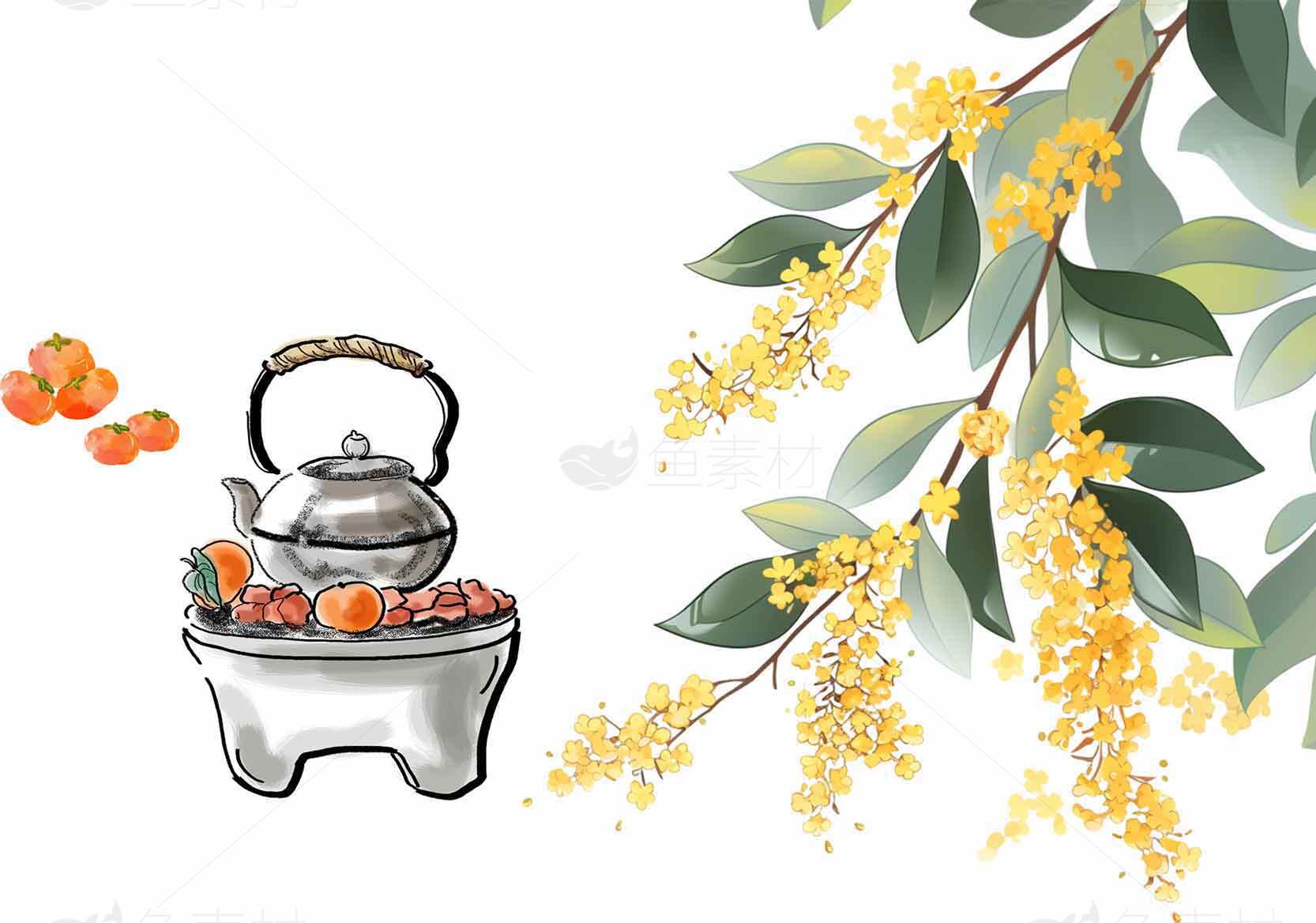 秋季桂花茶插画设计素材