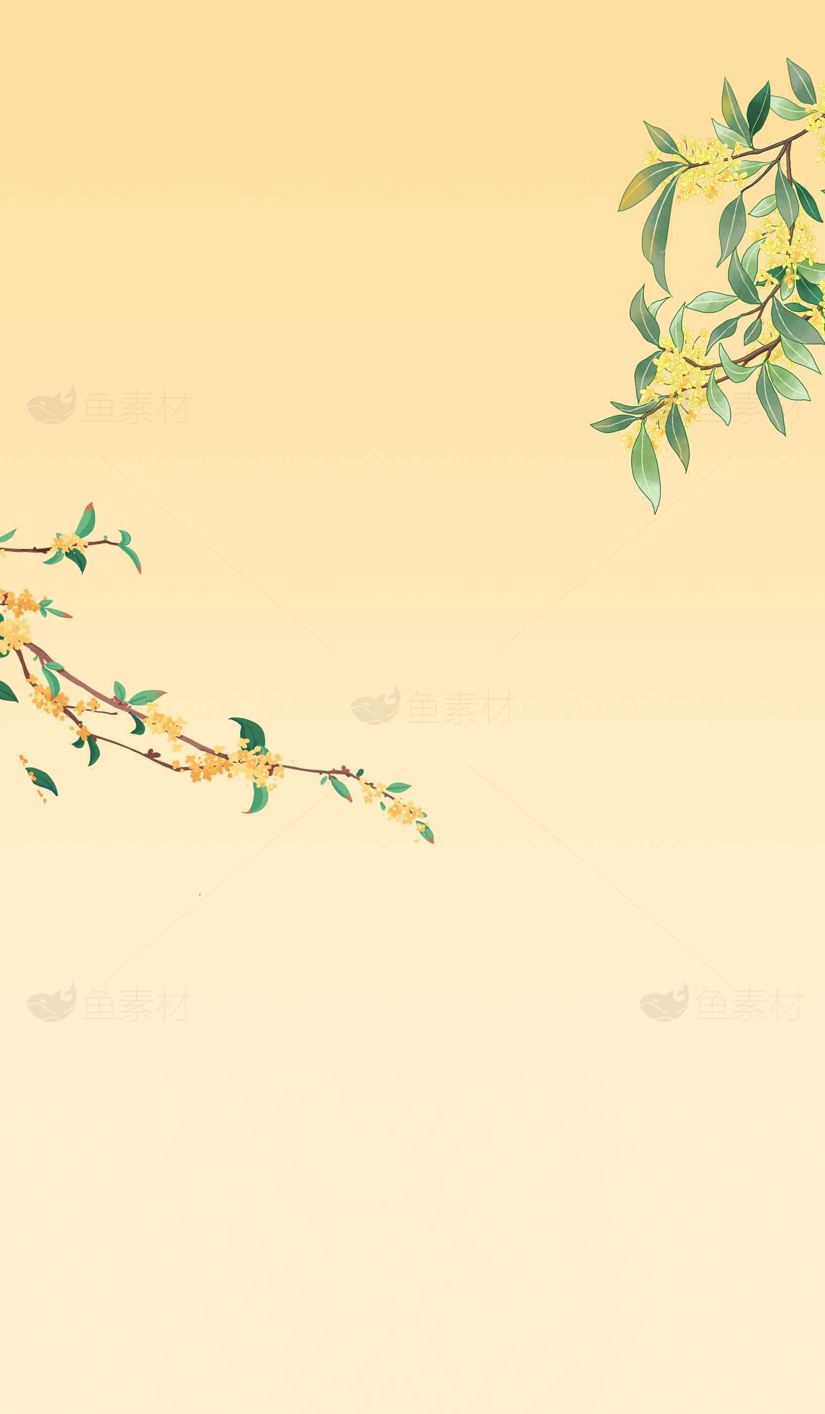 清新唯美的秋季桂花背景图片素材