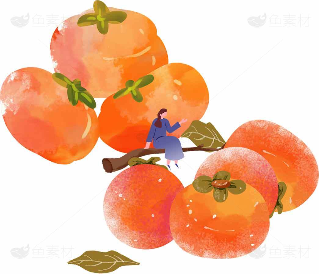 秋季柿子插画设计：丰收与自然之美素材