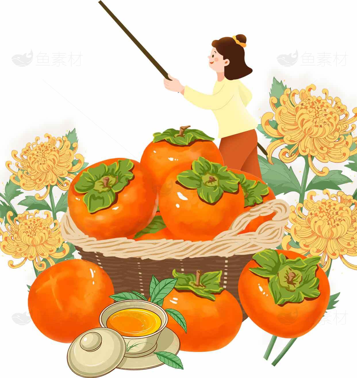 秋季柿子丰收插画设计素材