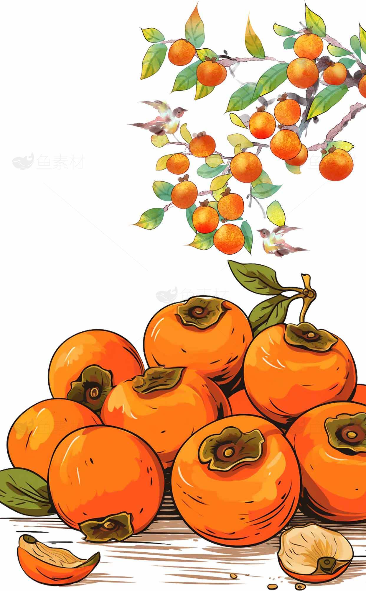 秋季柿子插画：丰收的橙色果实与自然之美素材