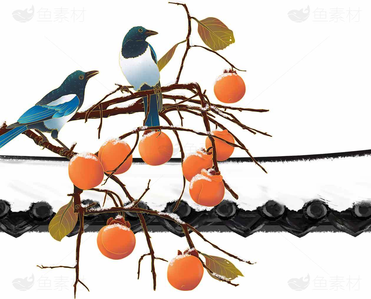 秋季柿子树上的喜鹊插画图片素材