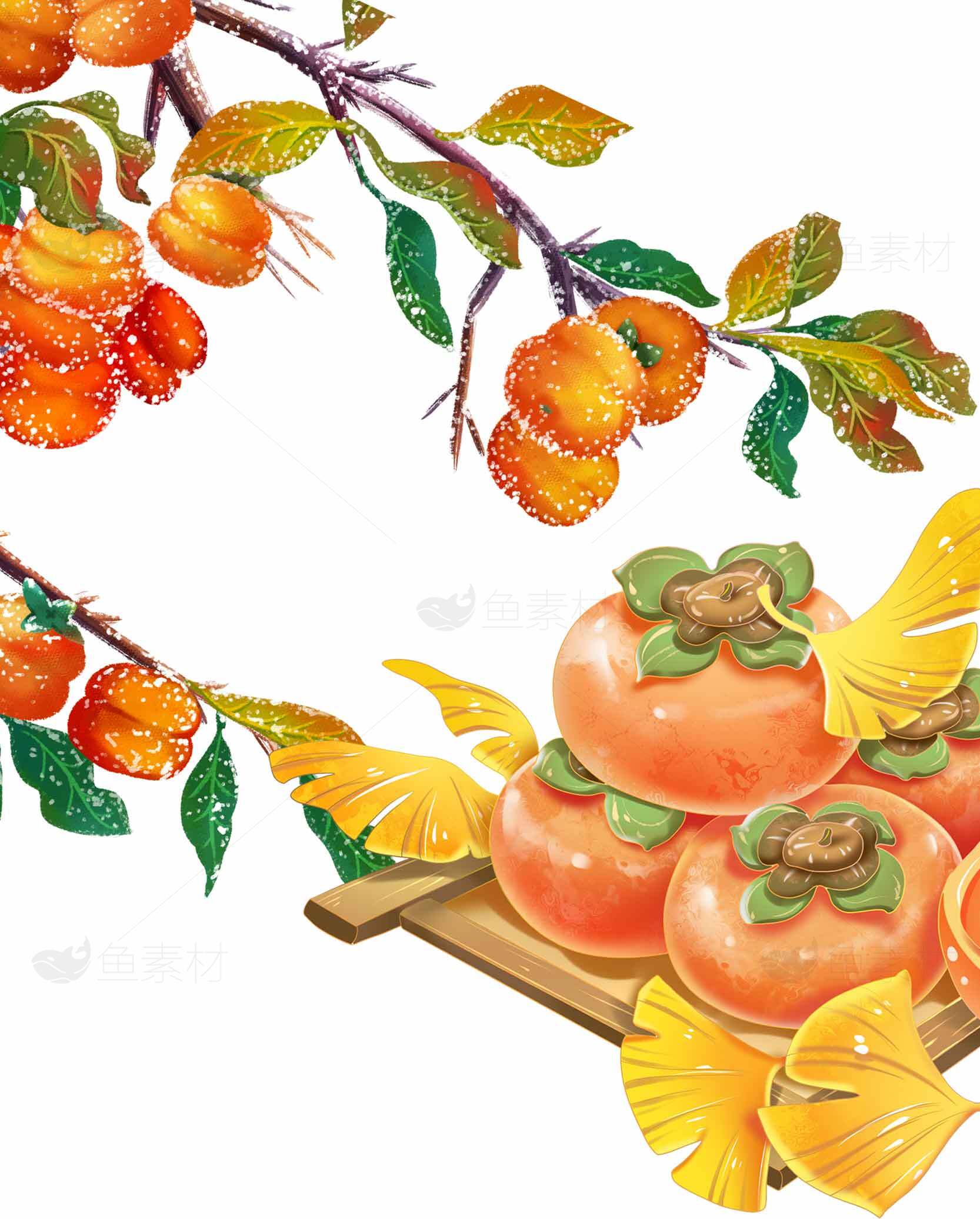 秋季柿子插画设计图片素材