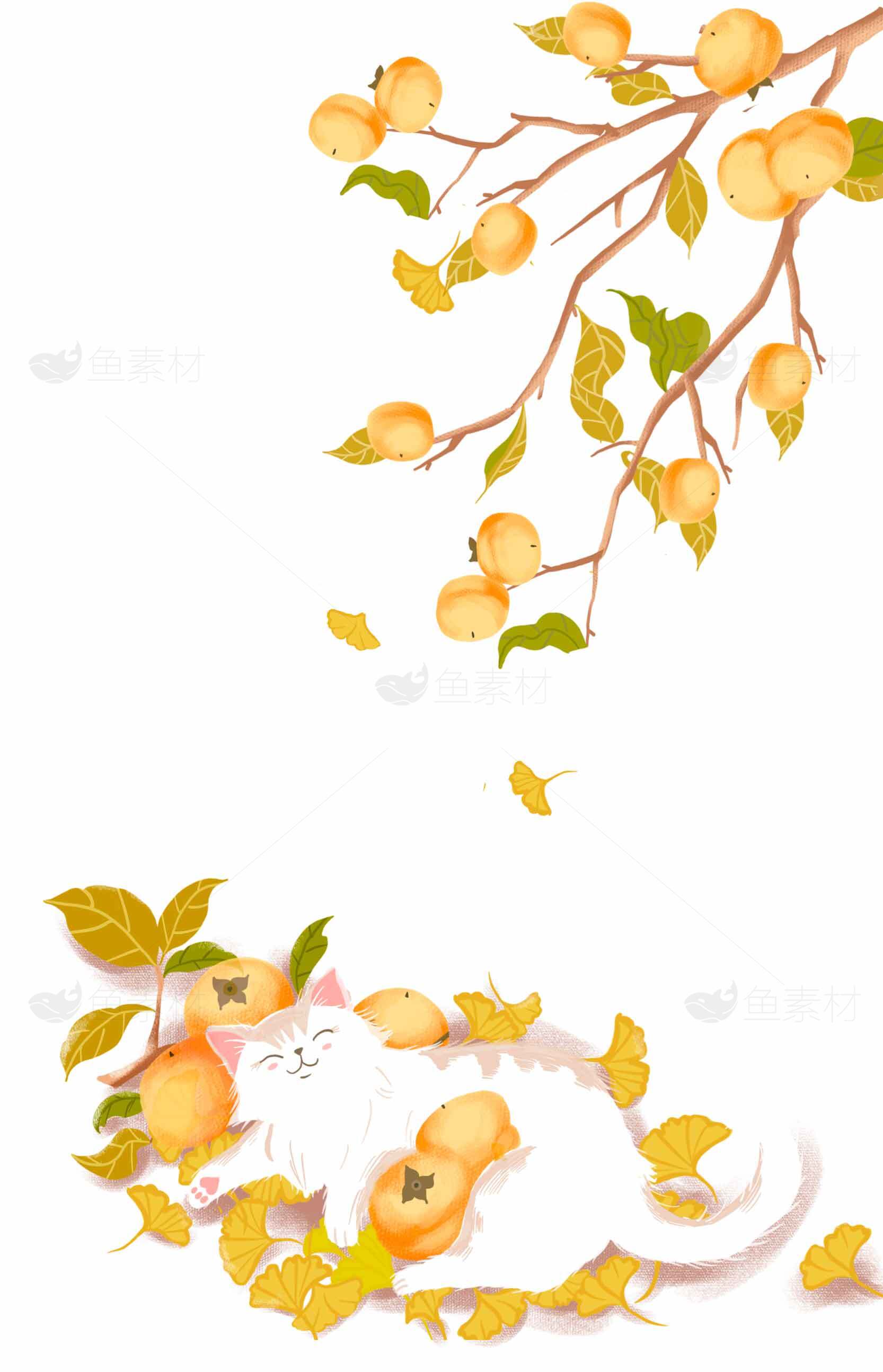 秋日柿子树下的白猫插画素材