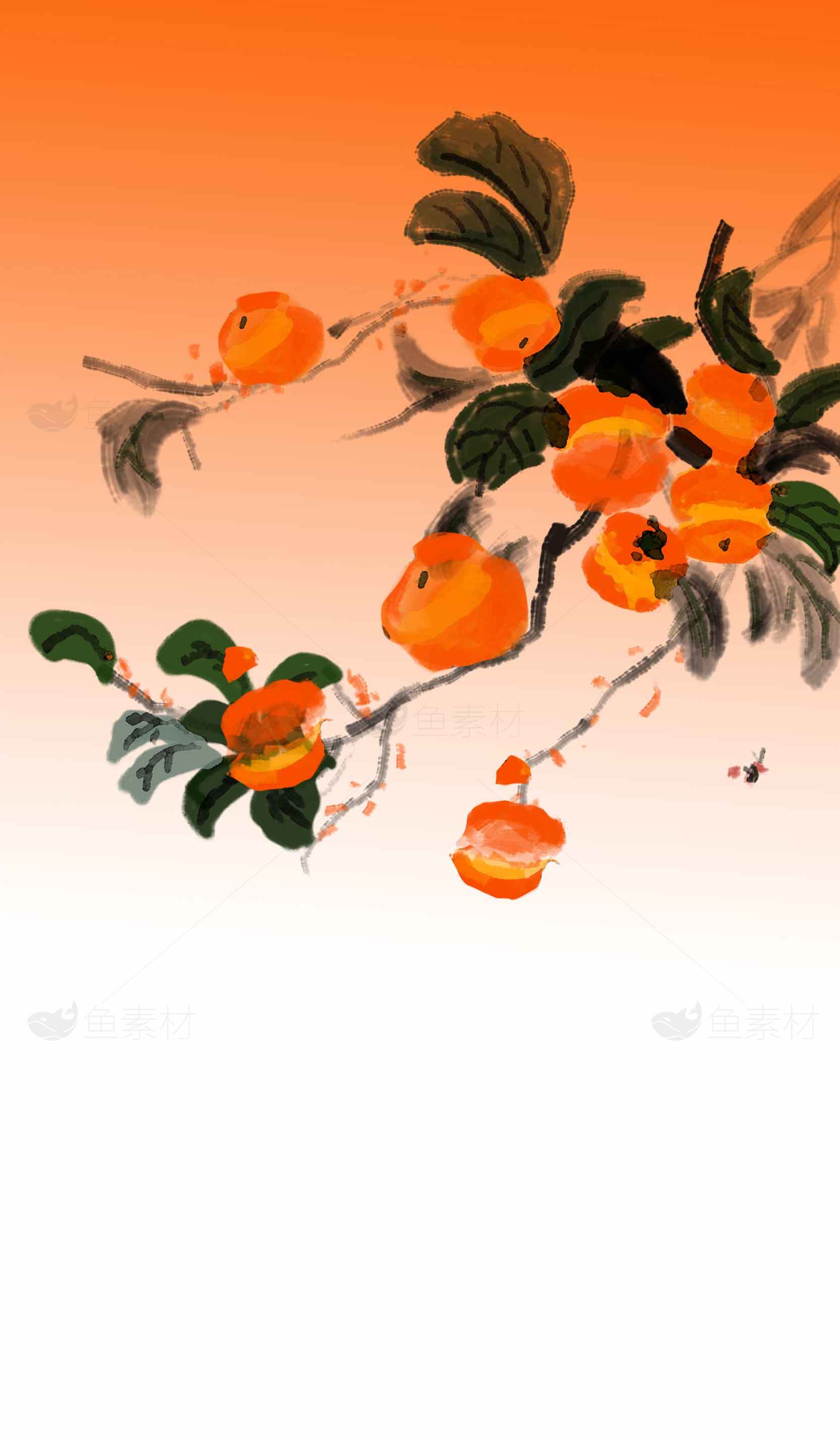 国画柿子枝头秋意浓插画图片素材