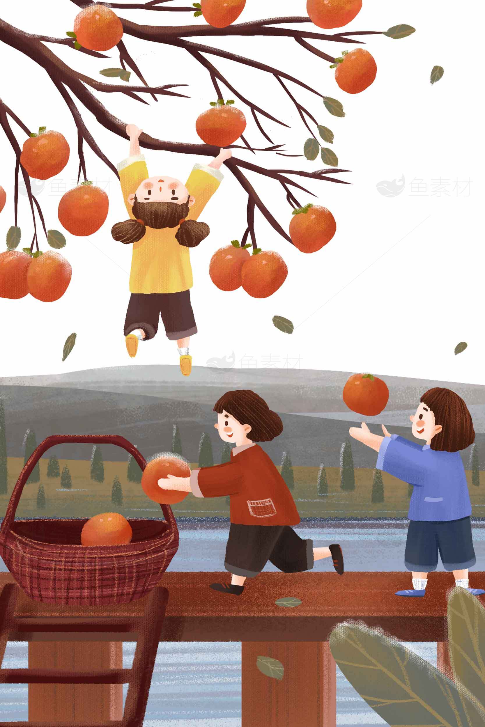 秋季柿子采摘插画场景素材