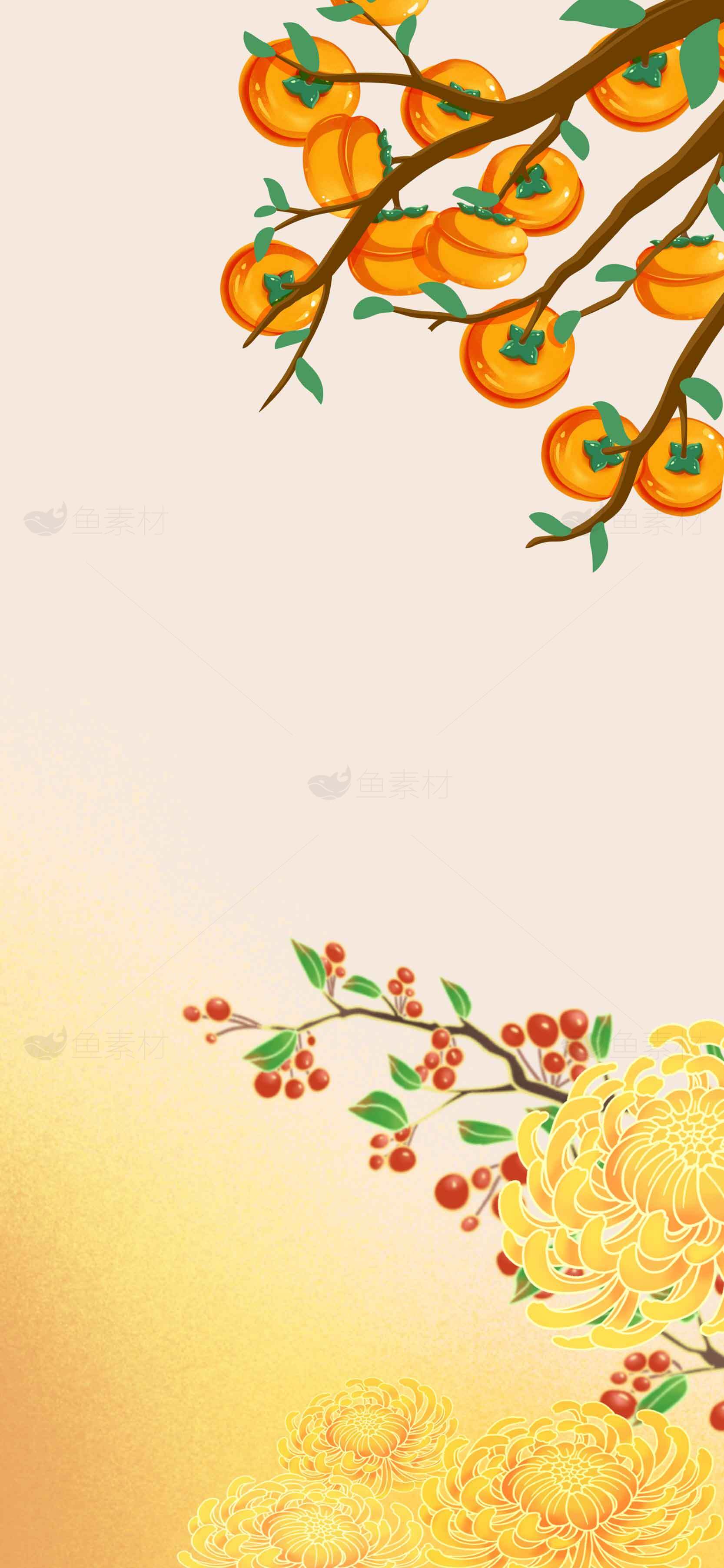 秋季柿子与菊花背景图片素材