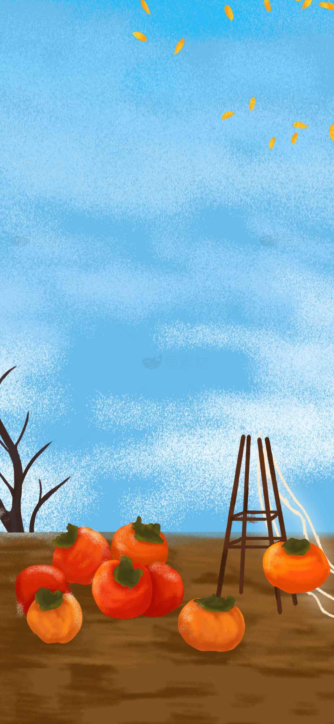 秋天的柿子与蓝天背景插画素材