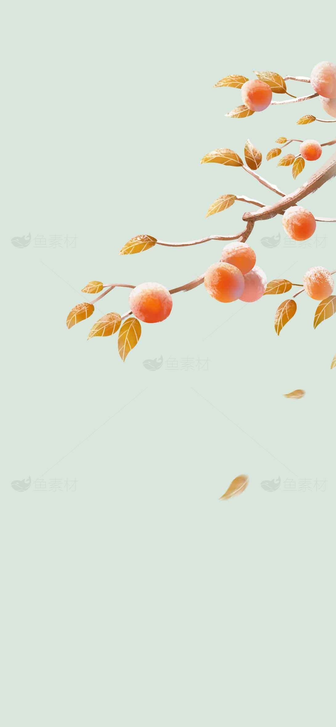 秋季柿子树插画背景图片素材