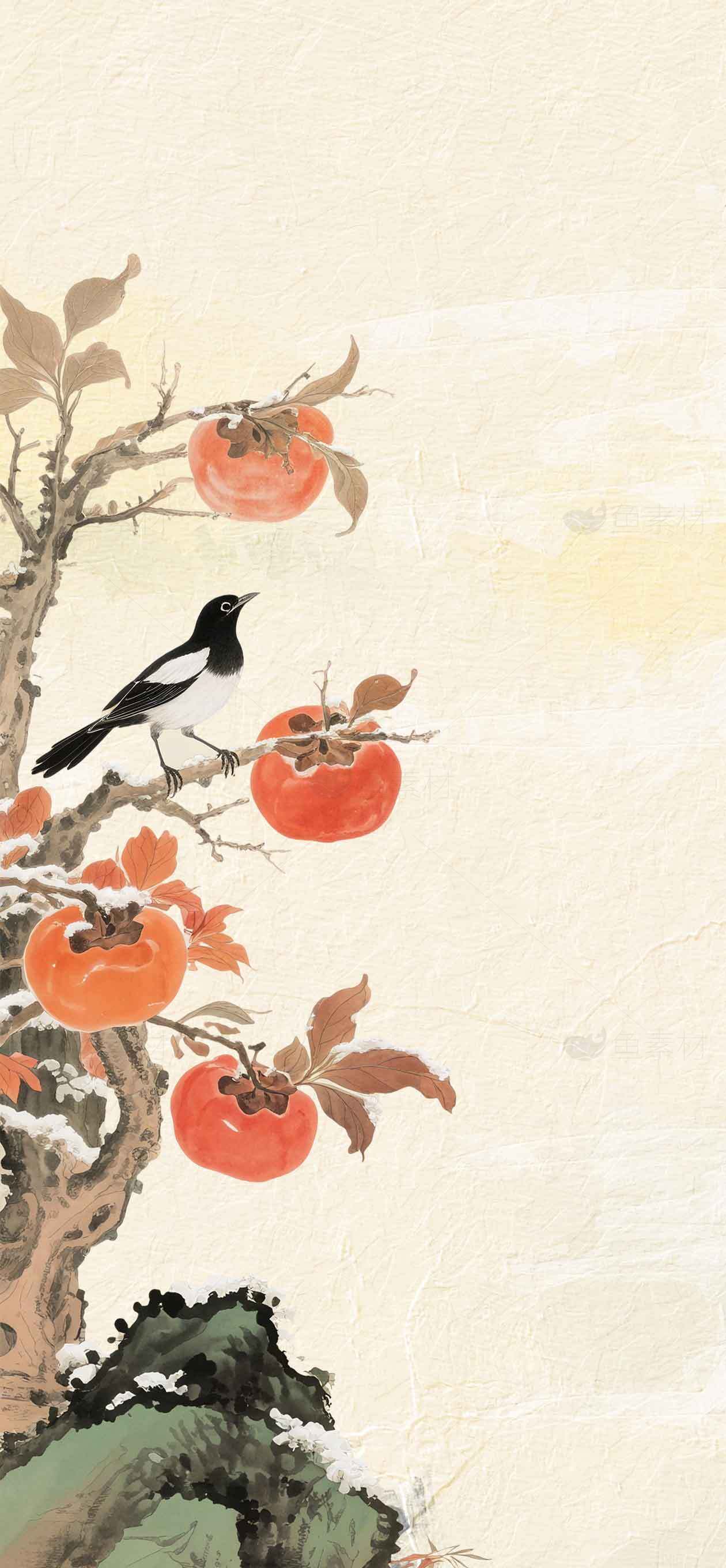 国画风格柿子树与喜鹊图片素材