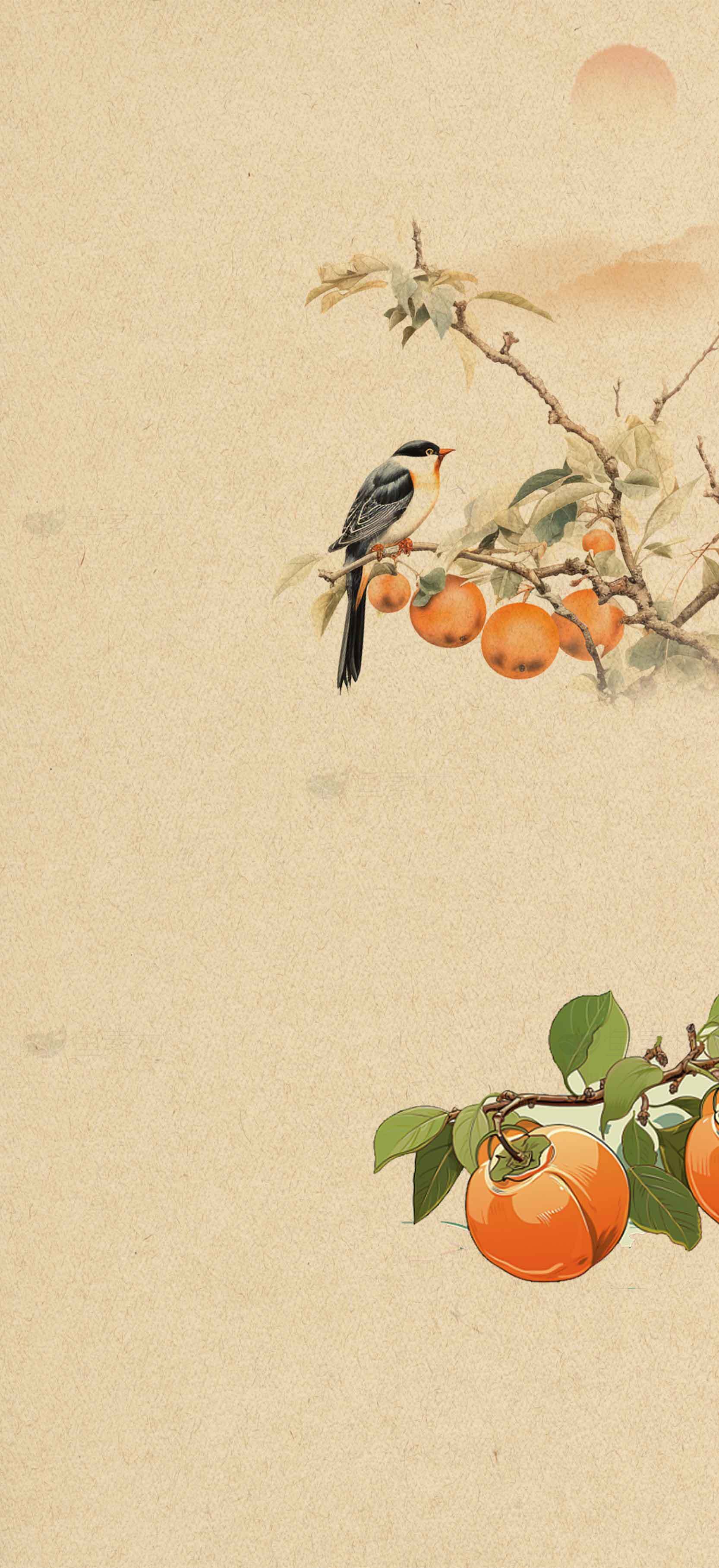 国风水墨画柿子与小鸟意境背景素材