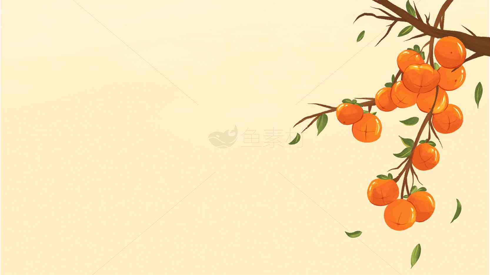 秋季橙色果实插画背景图片素材