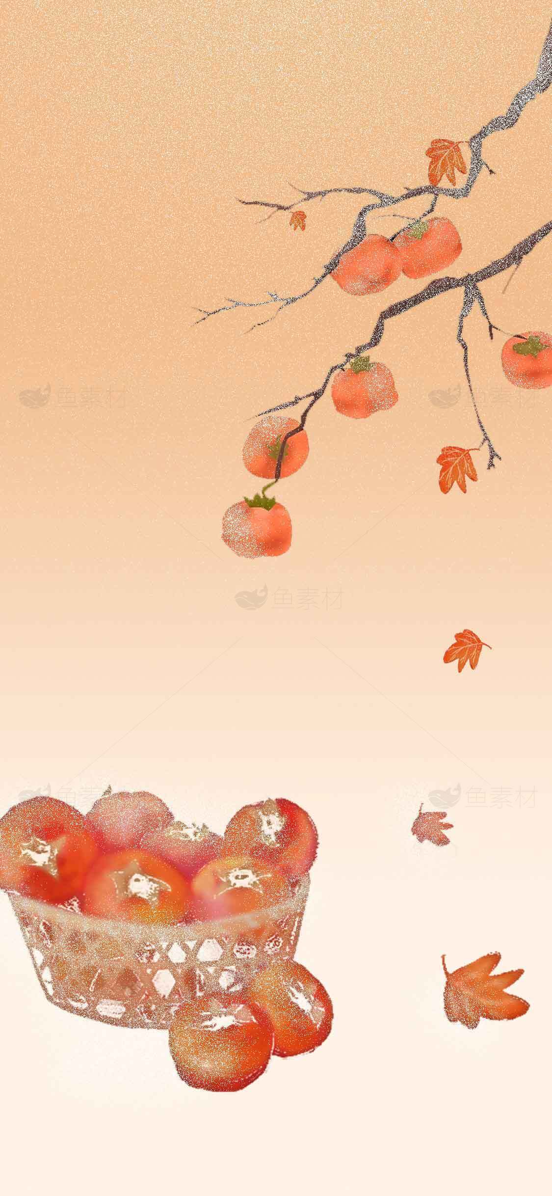 秋日柿子插画背景图片素材