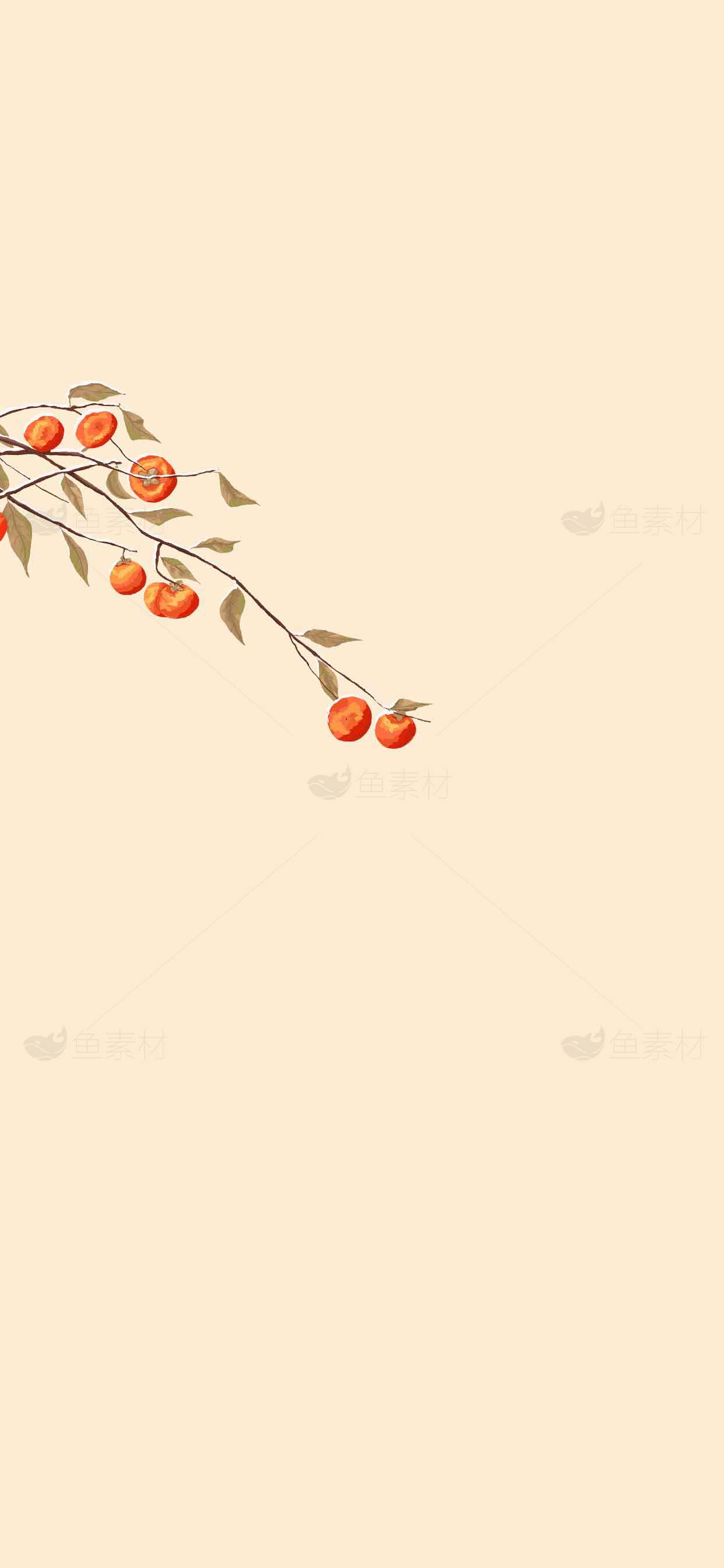简约柿子插画背景图片素材