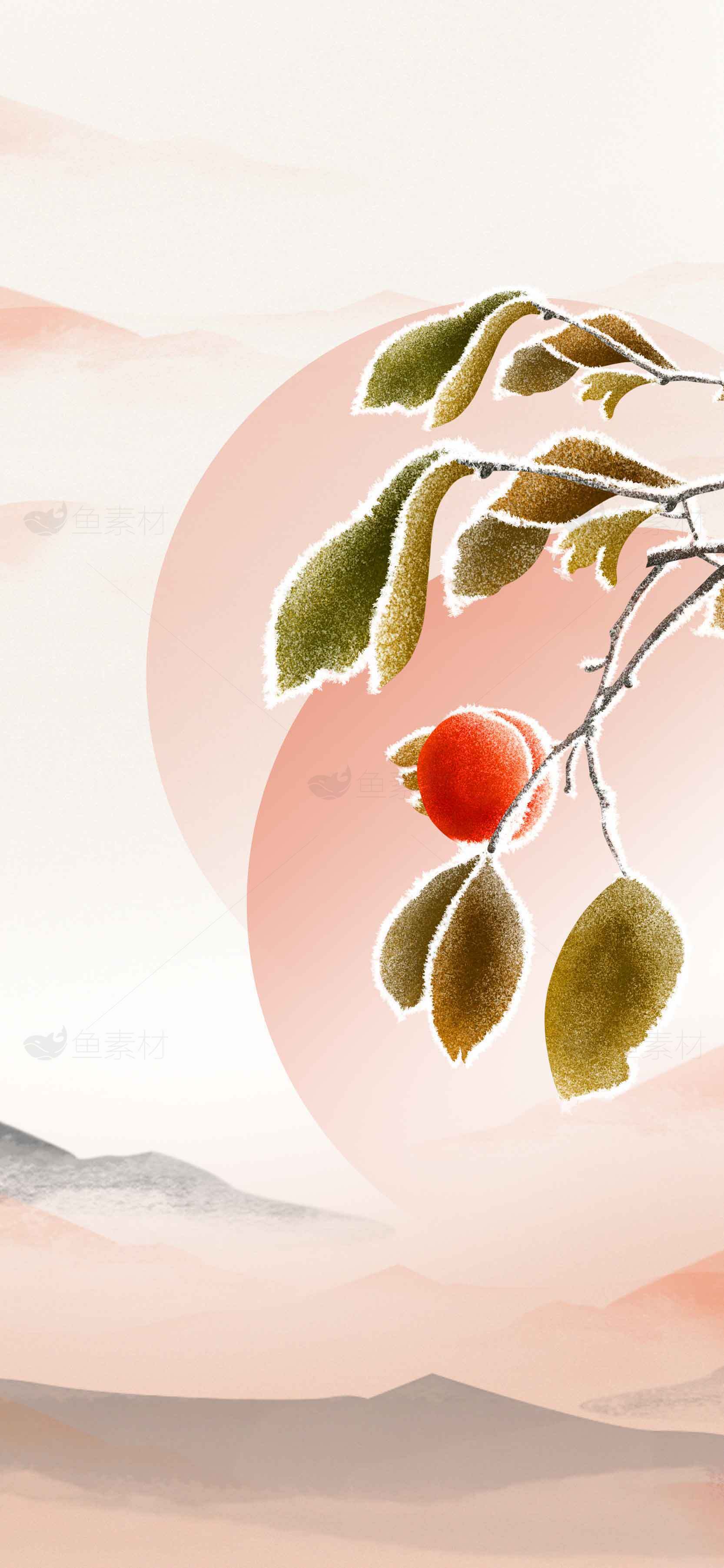 国风水墨风格柿子插画背景图片素材