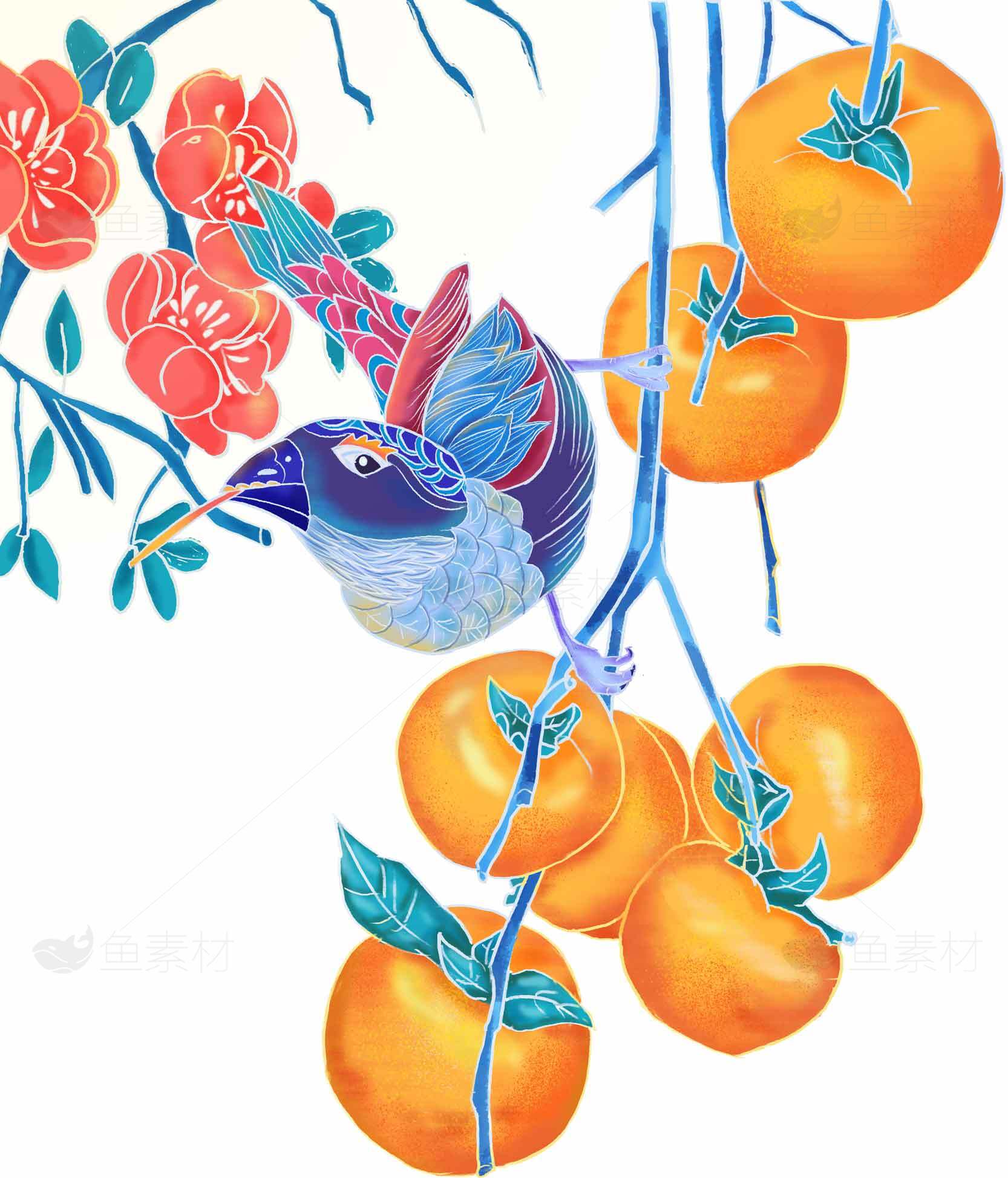 国画风格的鸟与柿子花卉艺术插画素材