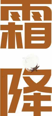 霜降节气创意海报设计模板素材