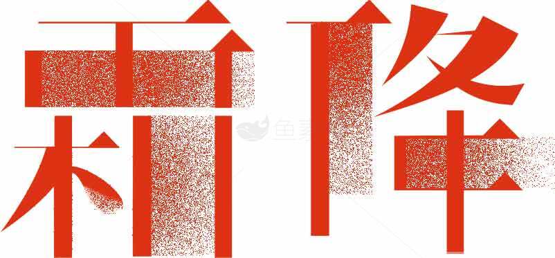 霜降节气红色视觉设计素材