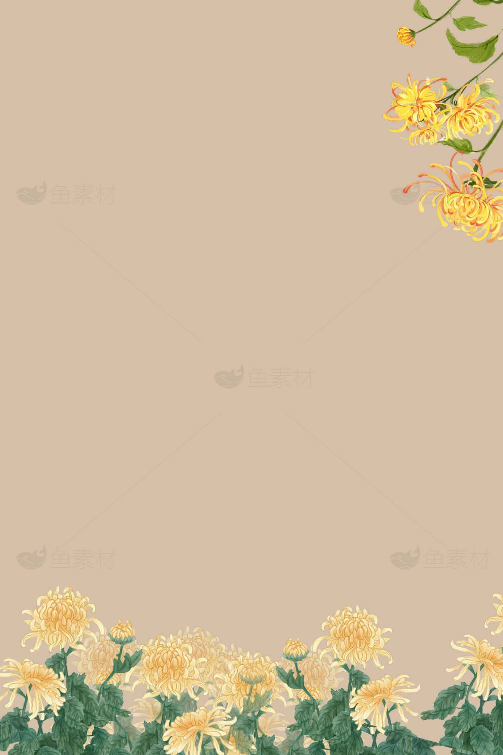 唯美黄色菊花背景图片素材