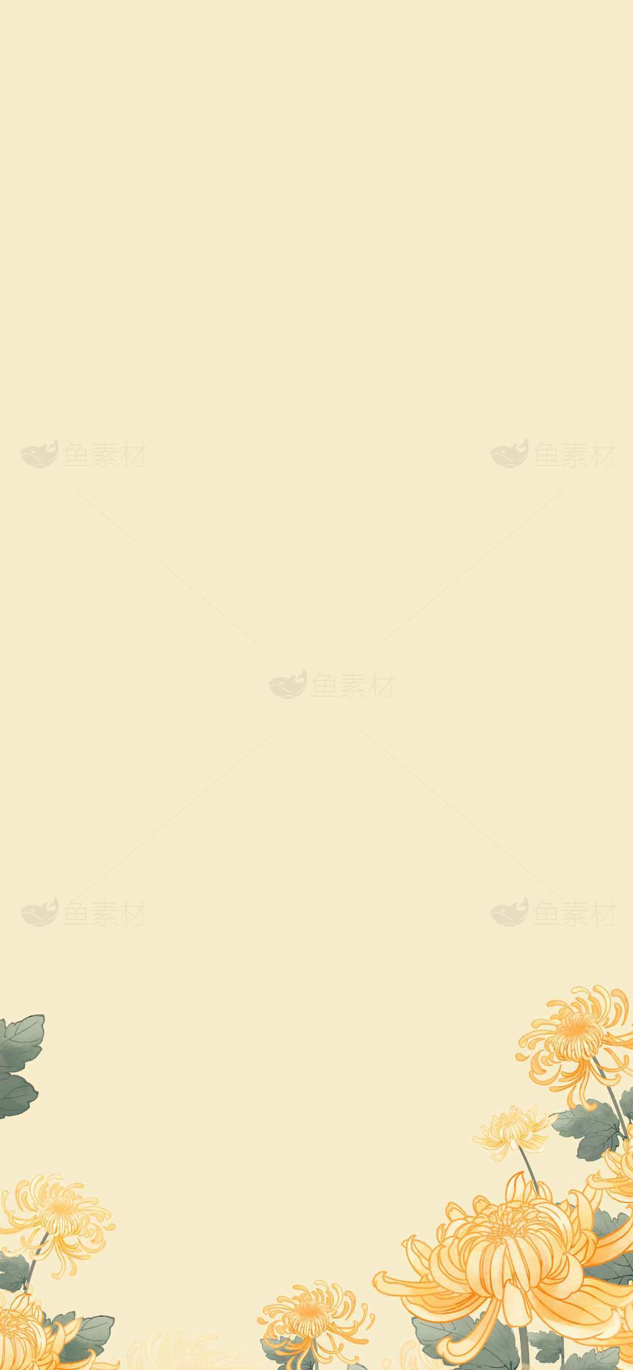 简约唯美黄色菊花背景图片素材
