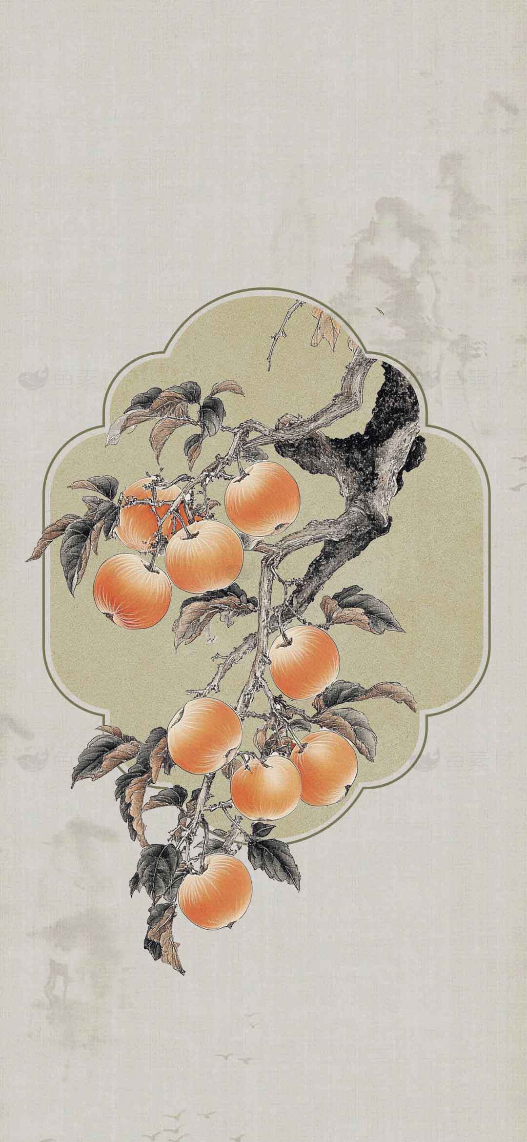 国画柿子枝头图——传统中国风装饰画素材