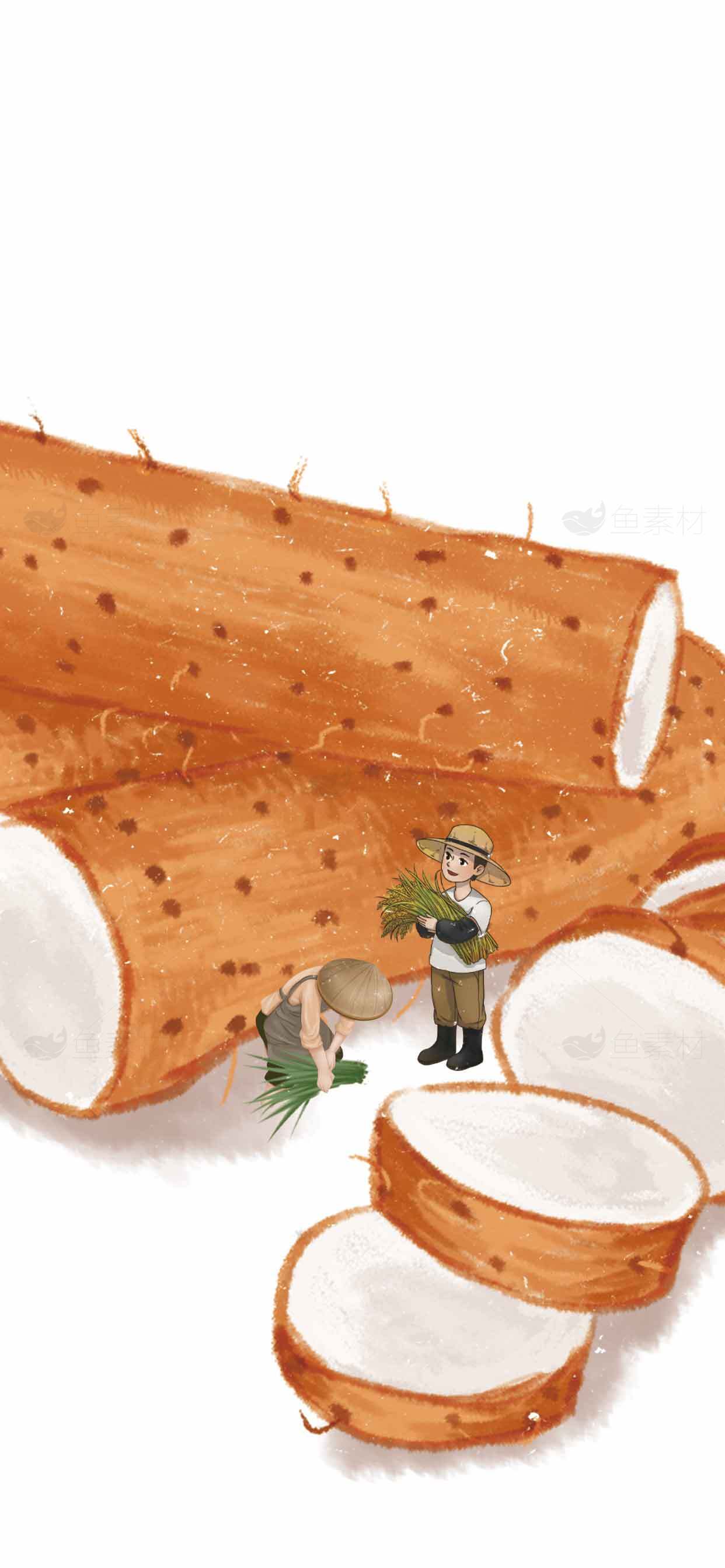 山药的营养价值与种植方法详解素材