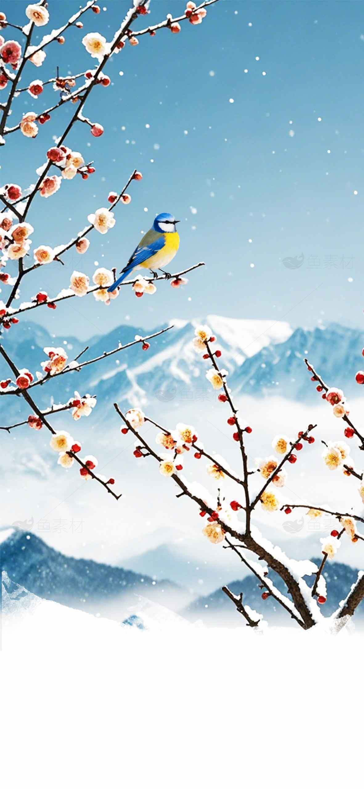 冬季雪景中的腊梅与蓝色小鸟唯美画面素材