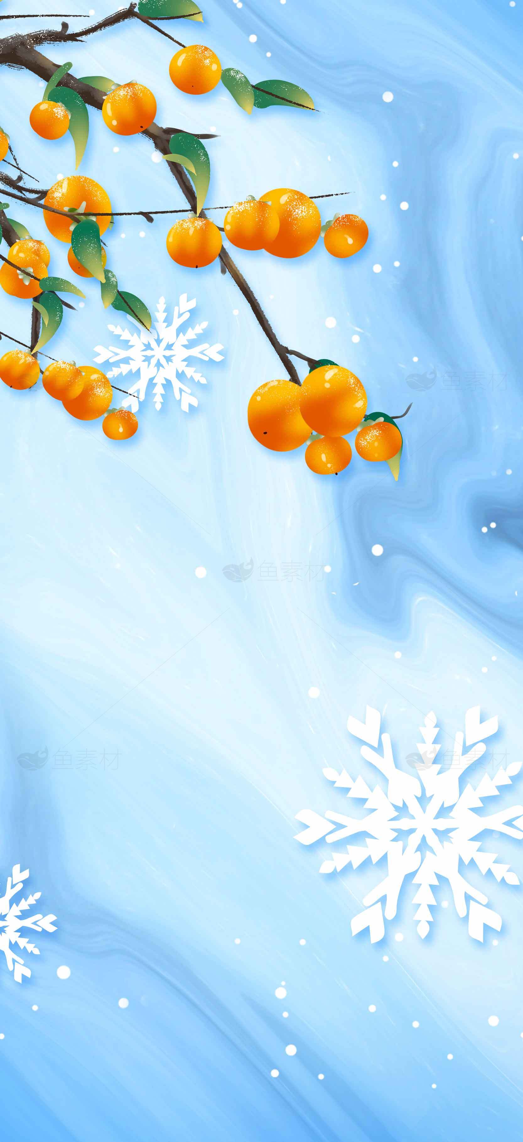 冬日柿子与雪花背景图片素材