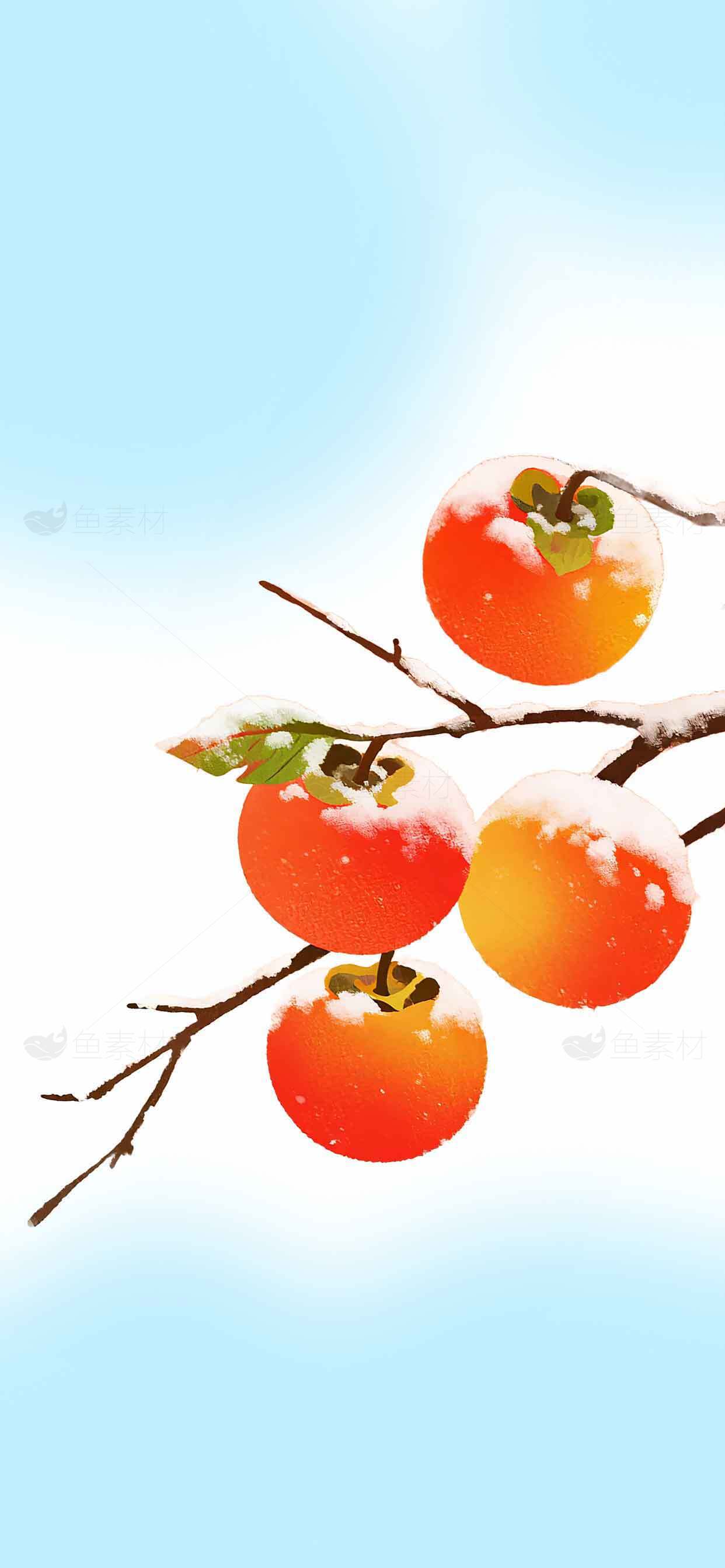 冬日雪景中的红柿子枝头图片素材