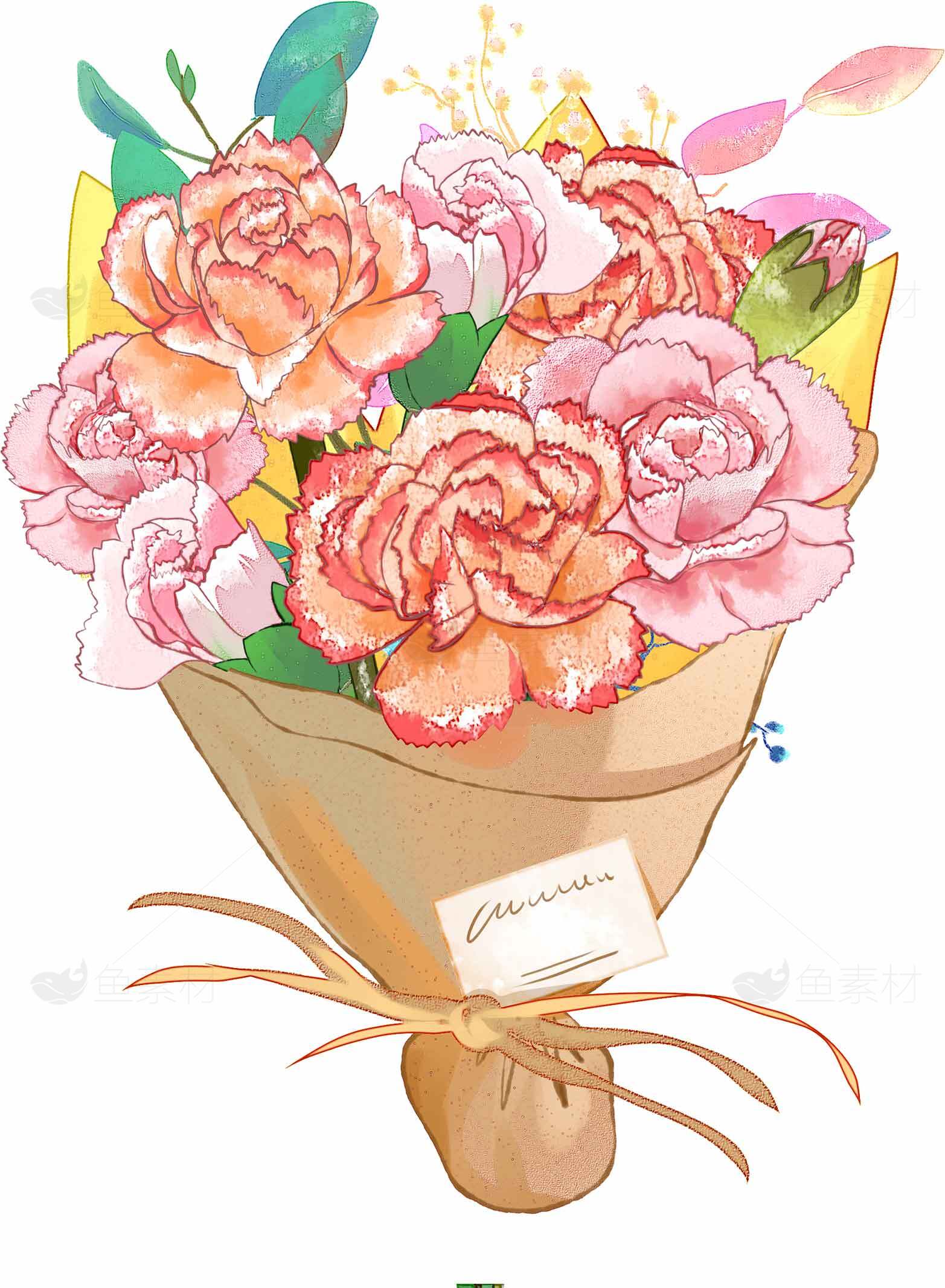 手绘康乃馨花束插画图片素材