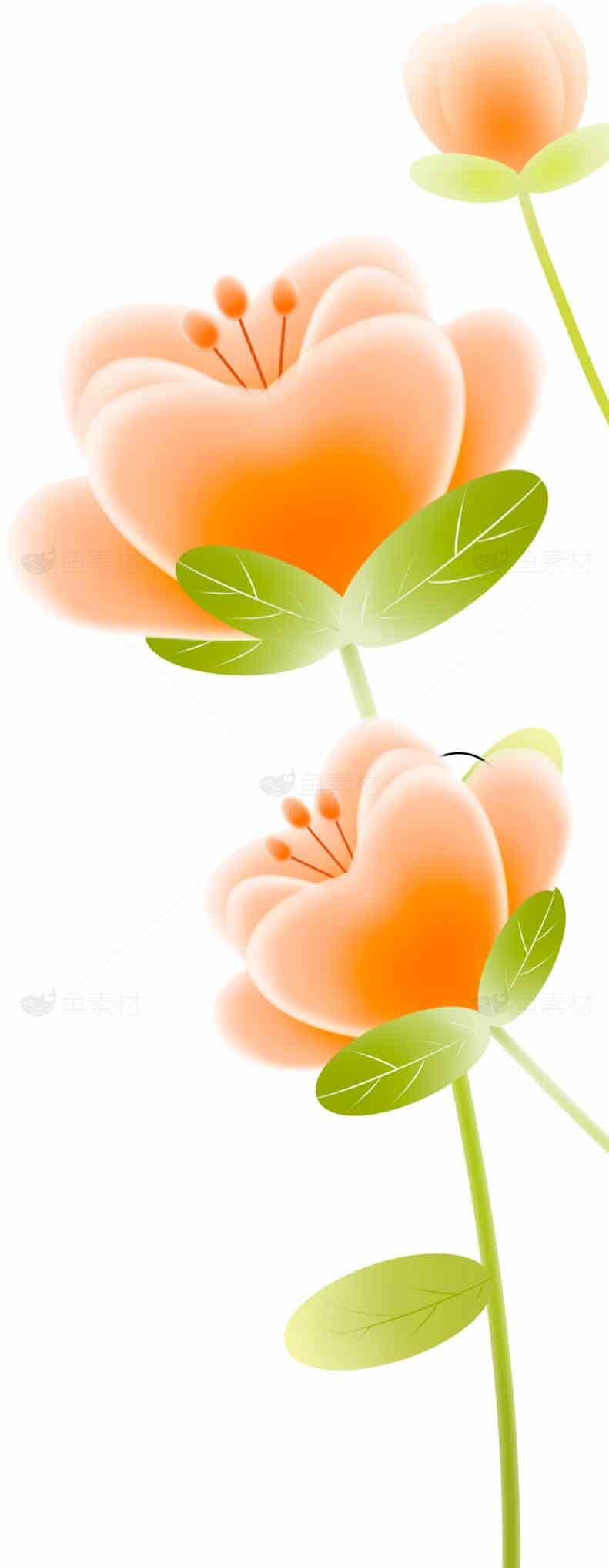 橙色花朵插画设计图片素材