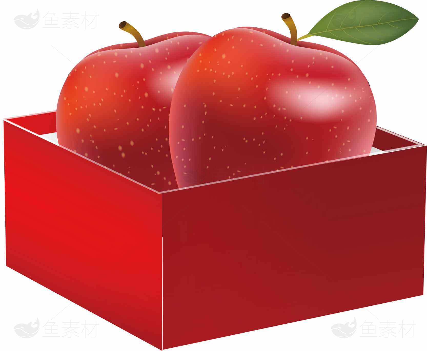 红色礼盒中的新鲜苹果图片素材