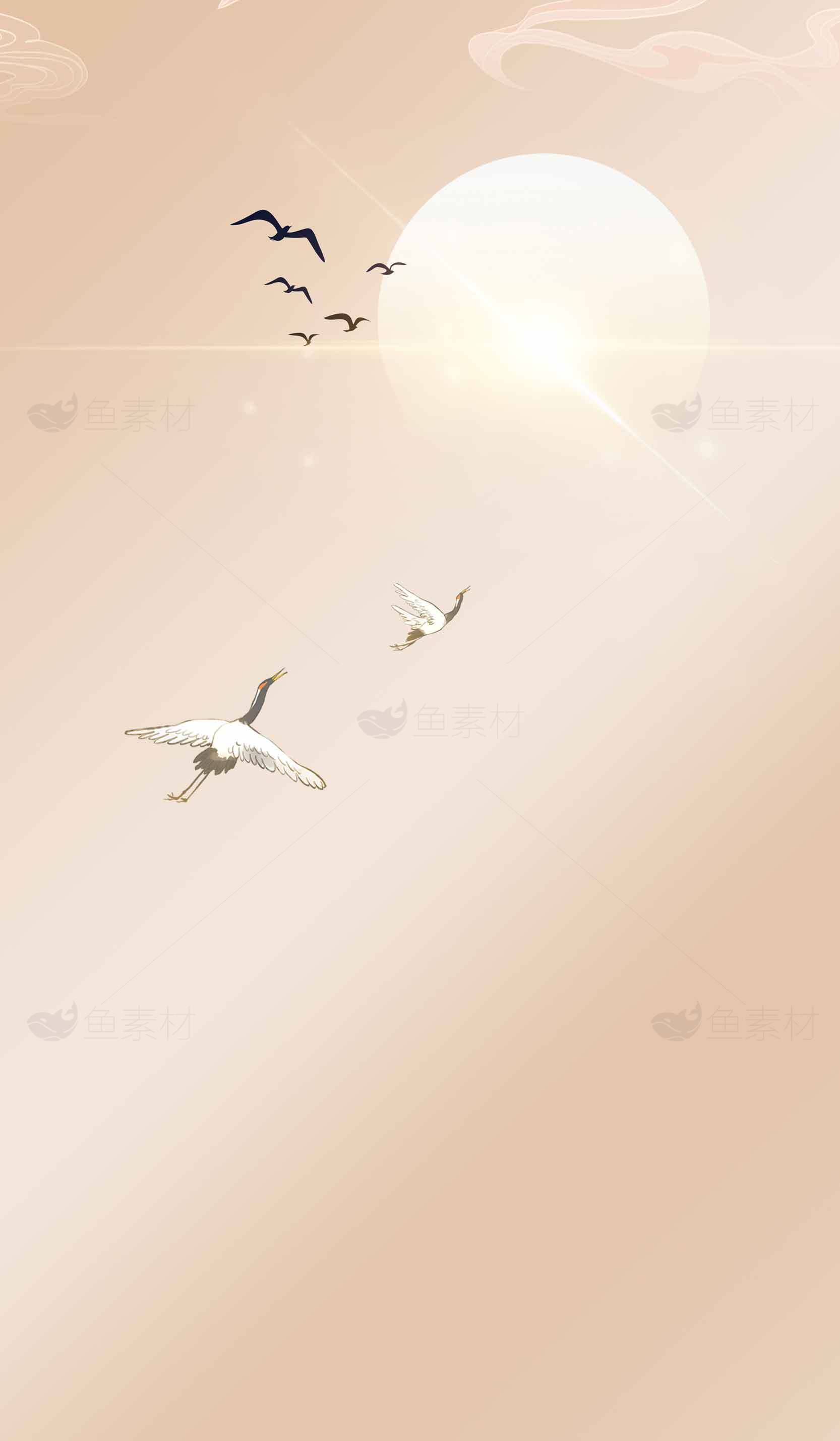 唯美日出与飞鸟背景图片素材