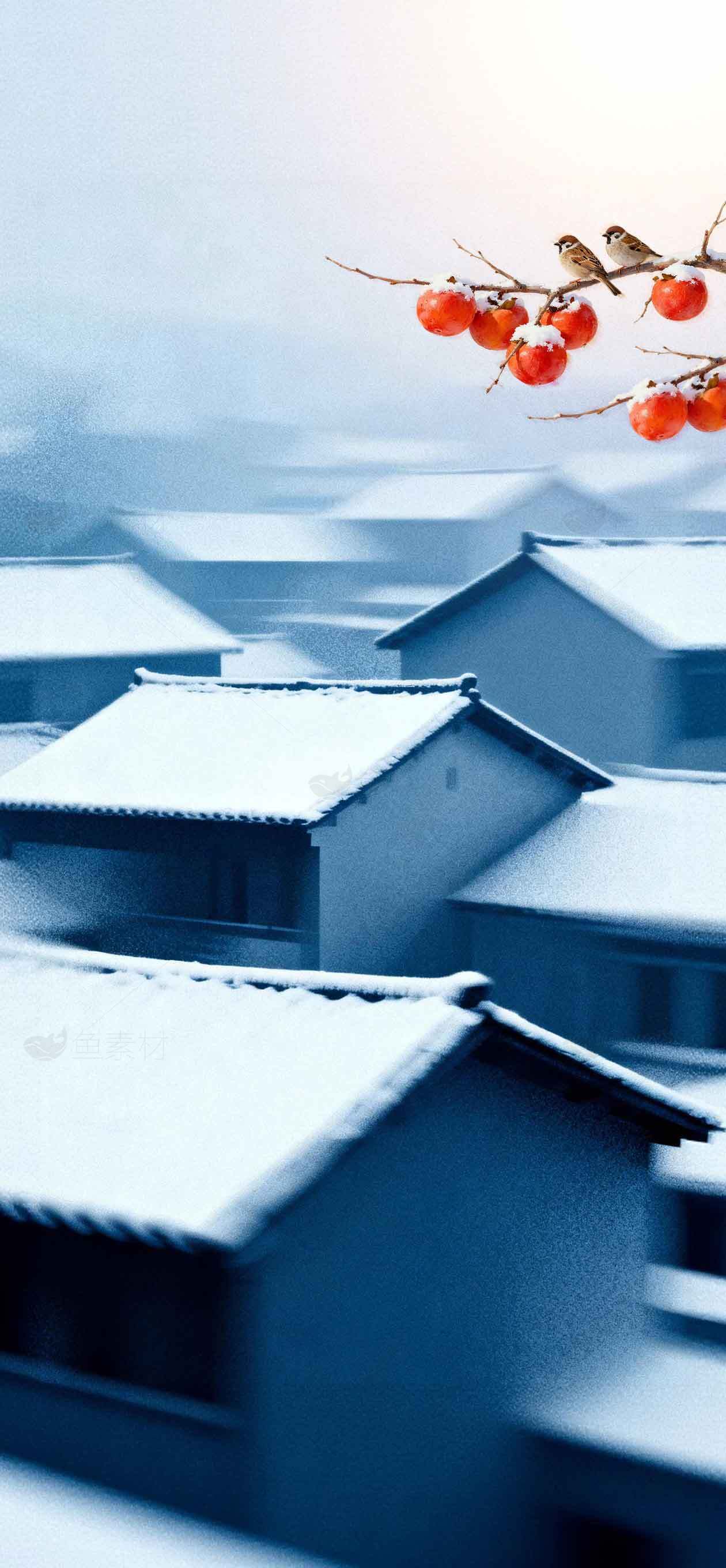 冬日雪景中的柿子与麻雀唯美画面素材