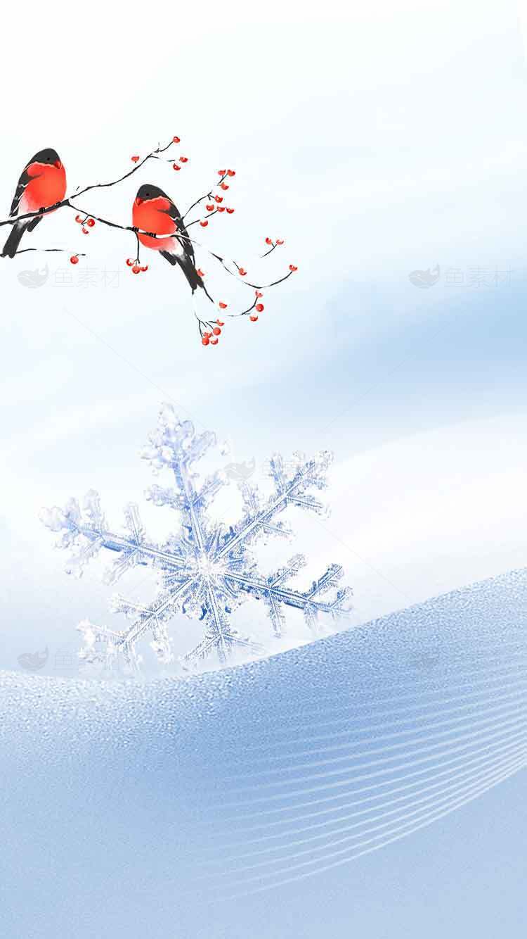 冬日雪景与红鸟枝头唯美壁纸素材