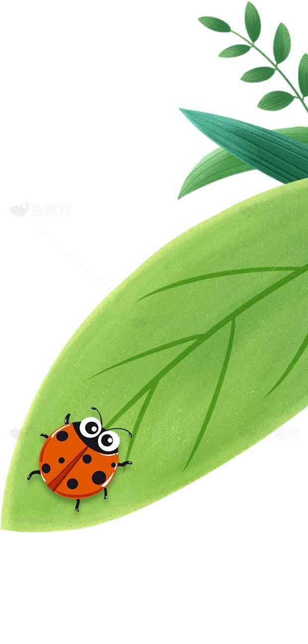 可爱瓢虫与绿色叶子插画图片素材