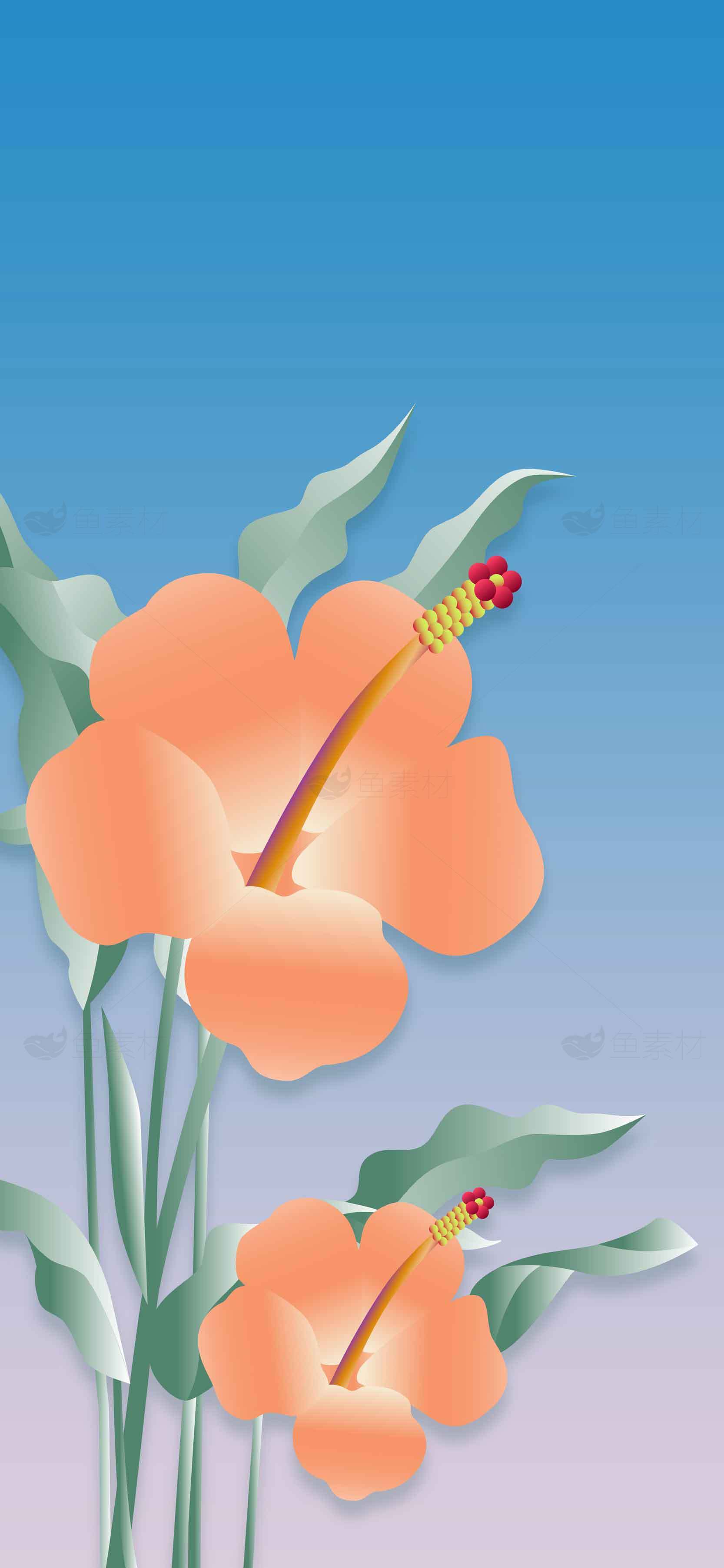 热带风情的橙色花朵插画背景图片素材