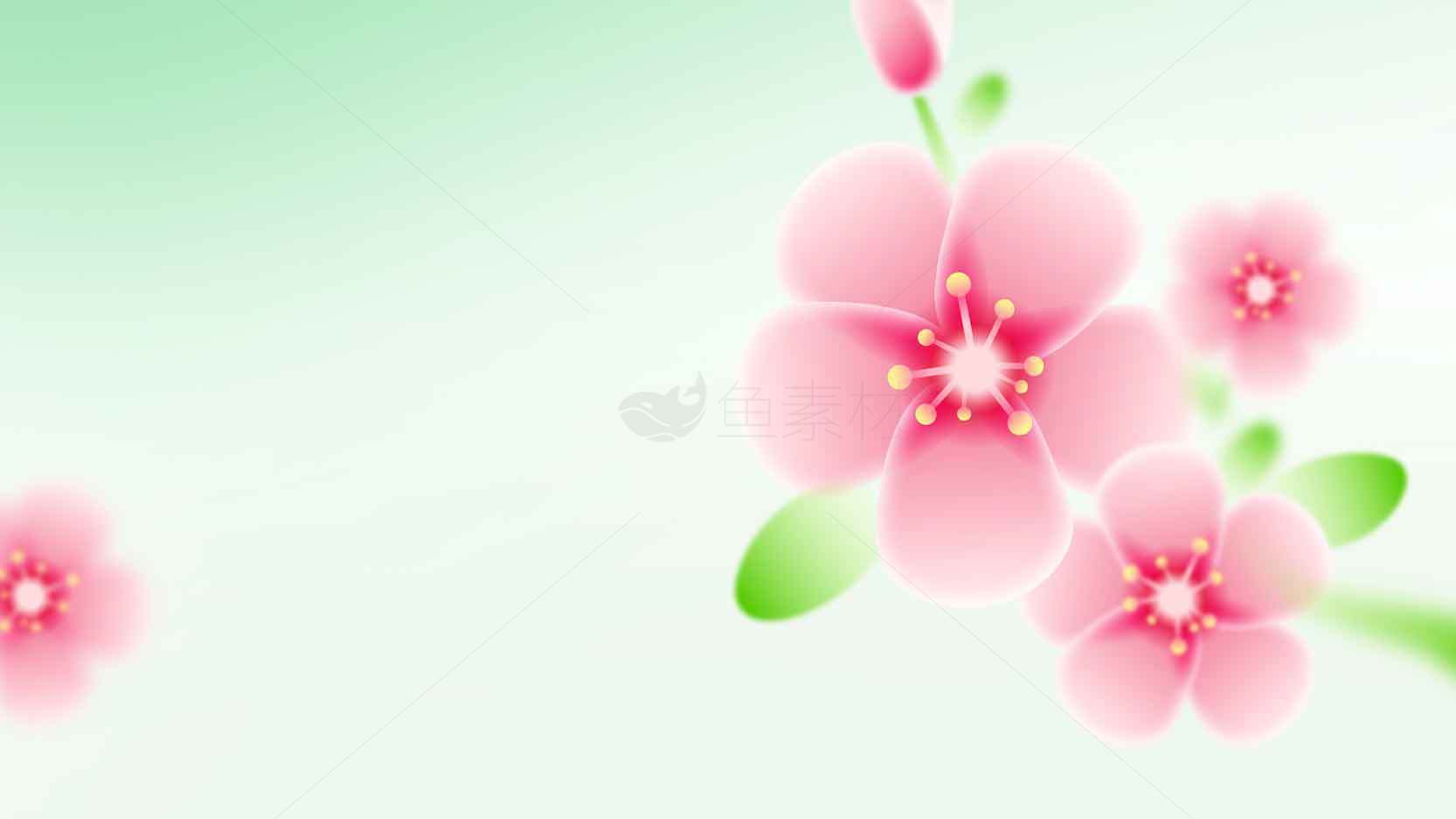 唯美粉色樱花背景图片免费下载素材