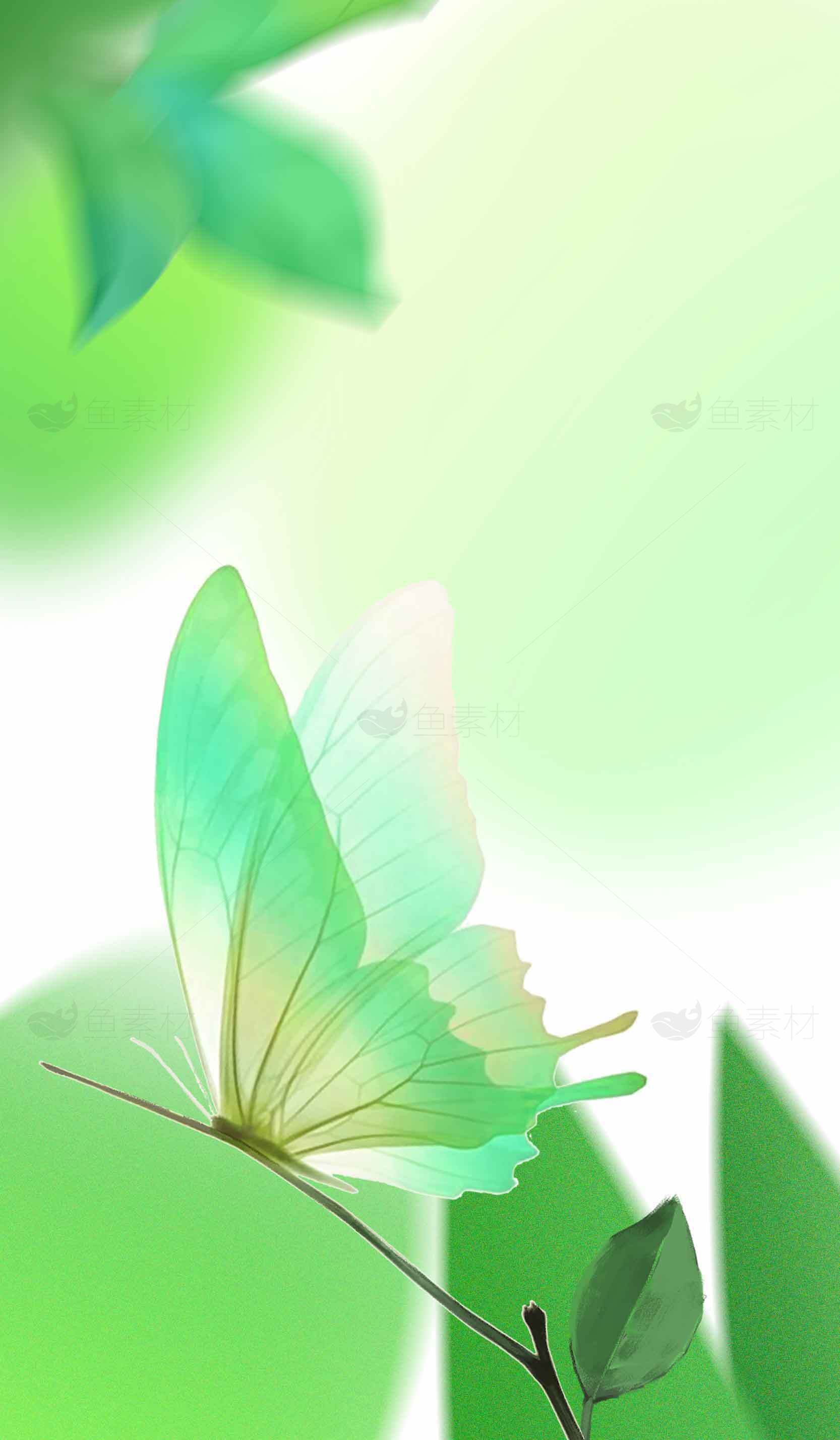 绿色蝴蝶与自然背景唯美图片素材