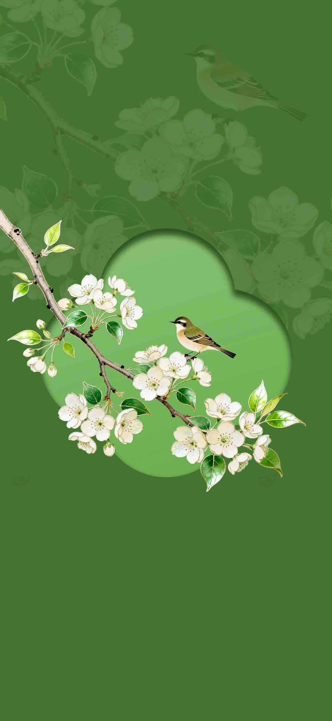 春日绿色背景上的花鸟插画素材