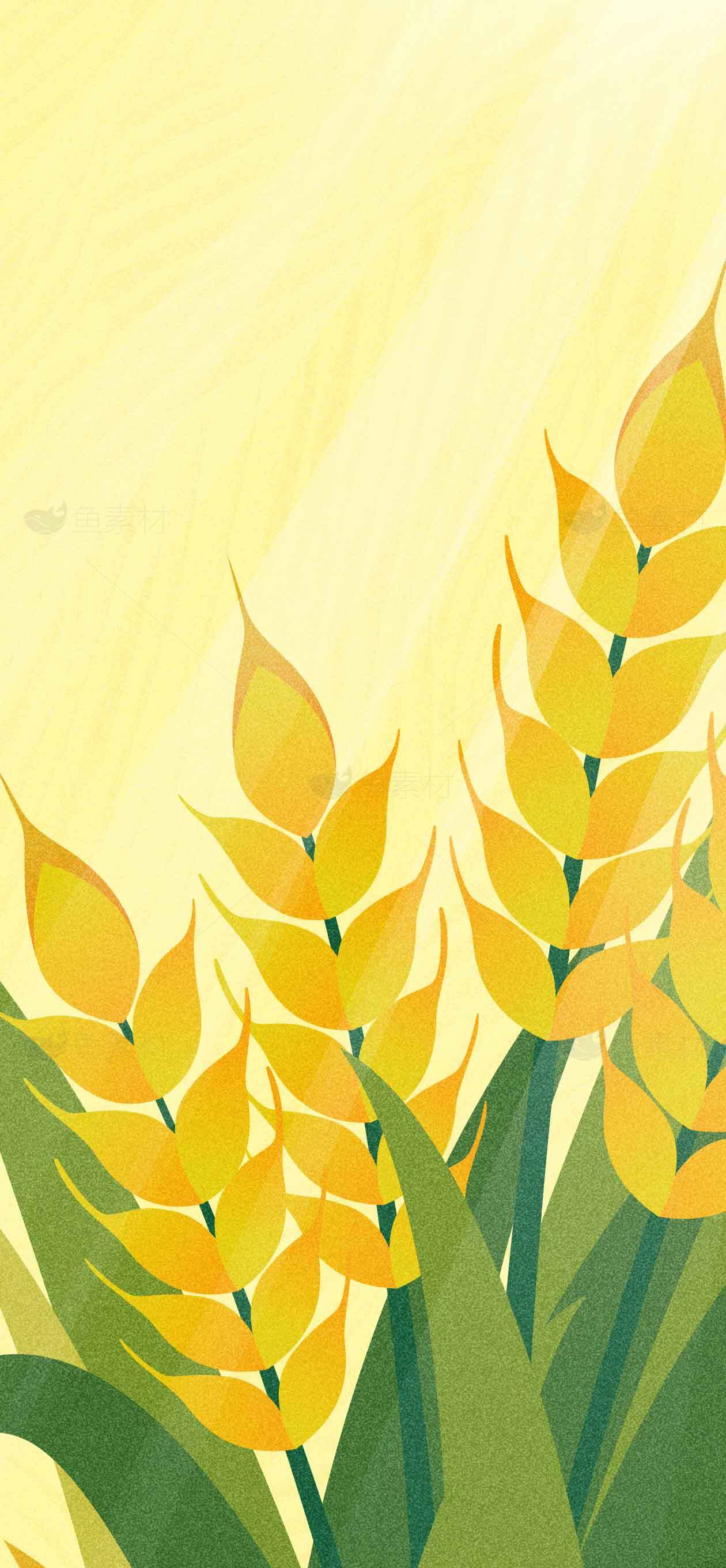 丰收的金色麦田插画背景图片素材