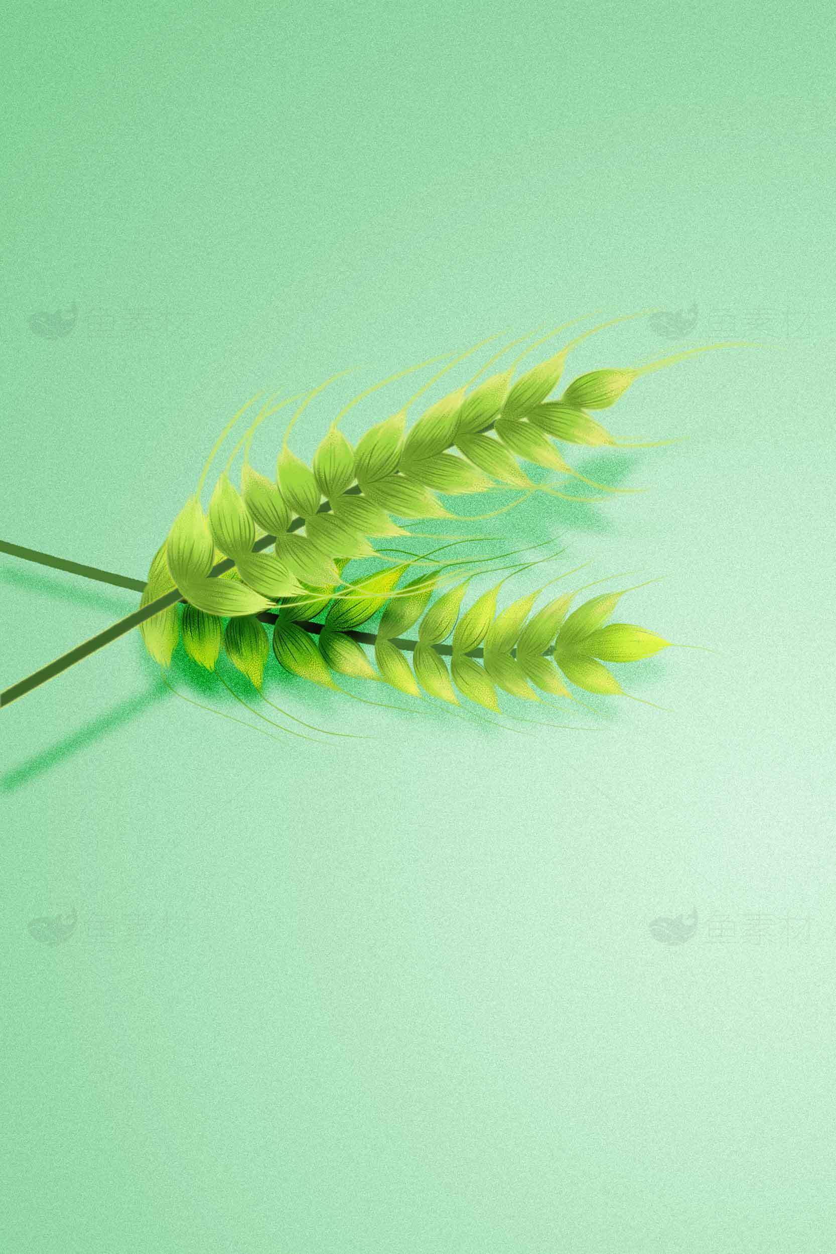 绿色植物背景图片 | 清新自然风格素材