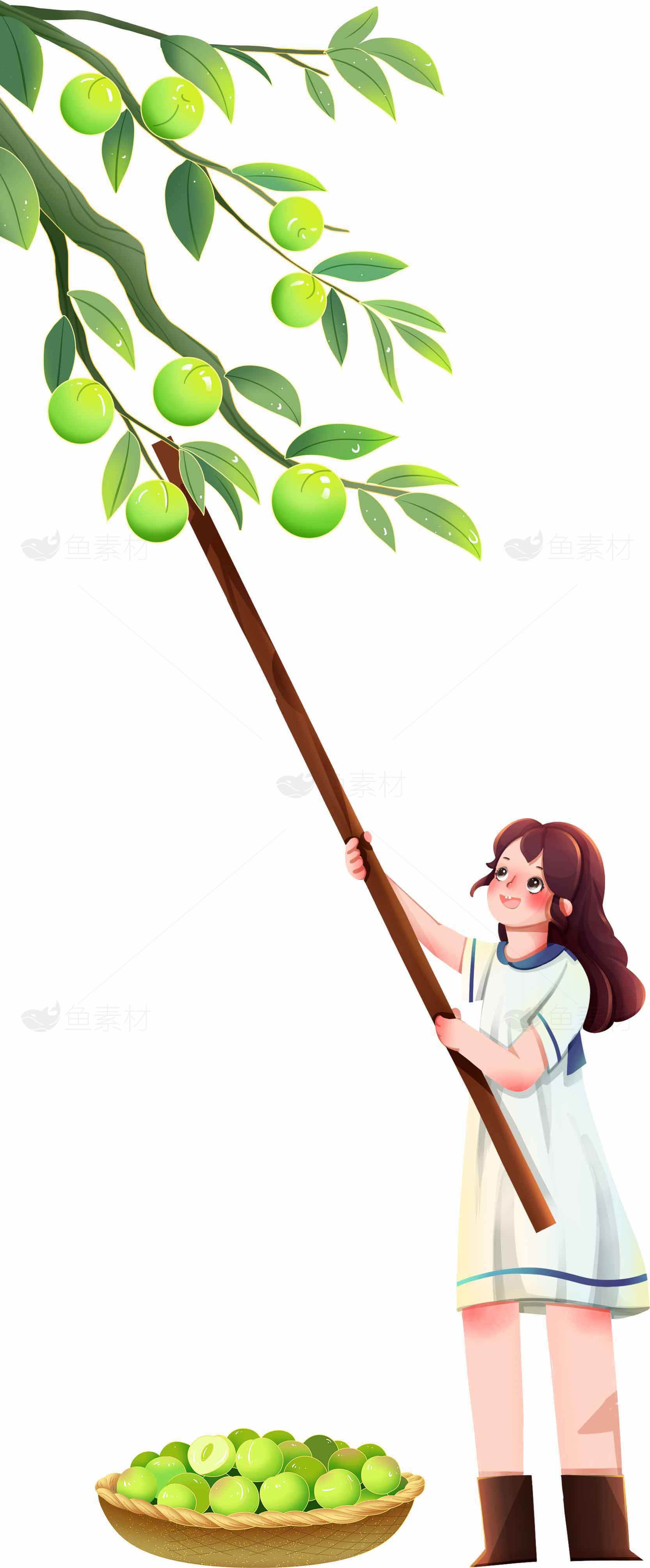女孩采摘绿色果实插画素材