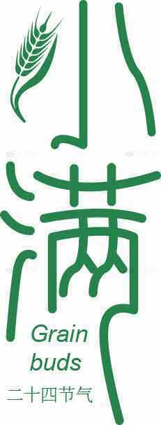 小满节气文化与绿色设计素材