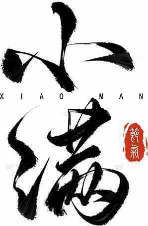 小满节气水墨书法艺术设计素材